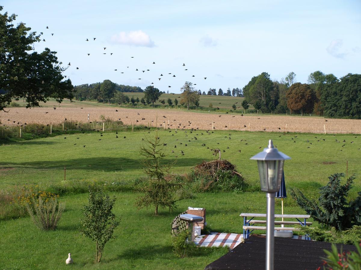 Kranichwiese