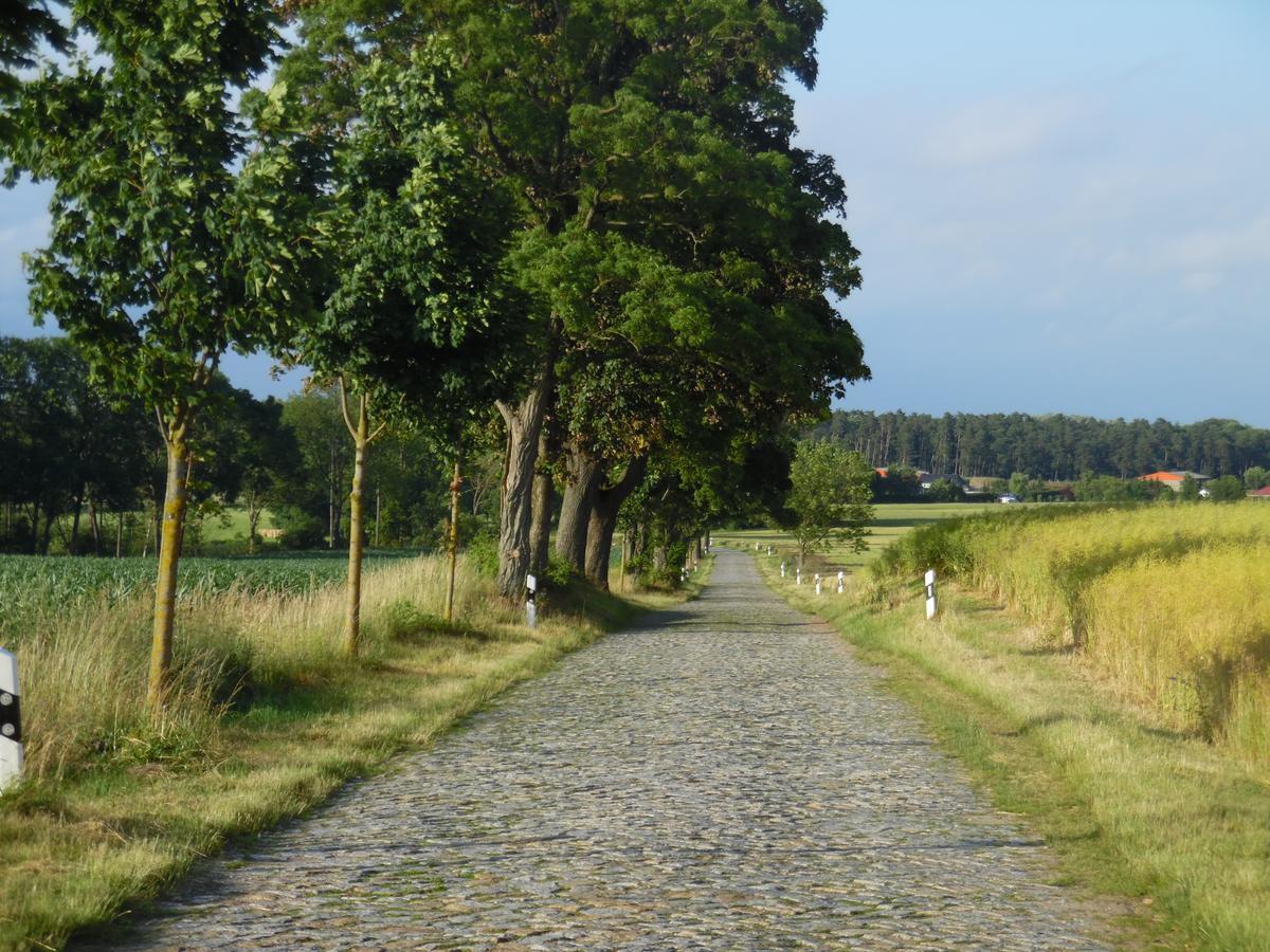 Kranichwiese Goehren-Lebbin